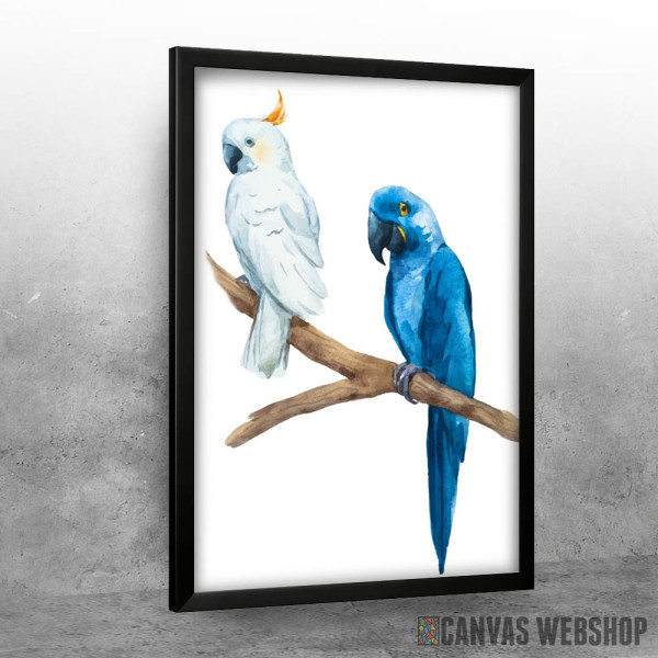 Beli i plavi papagaj