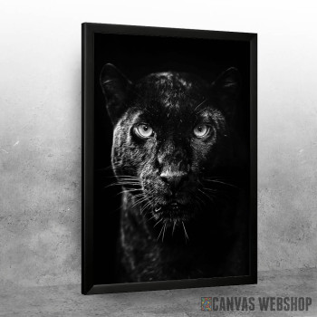 Black panther head Black panther head