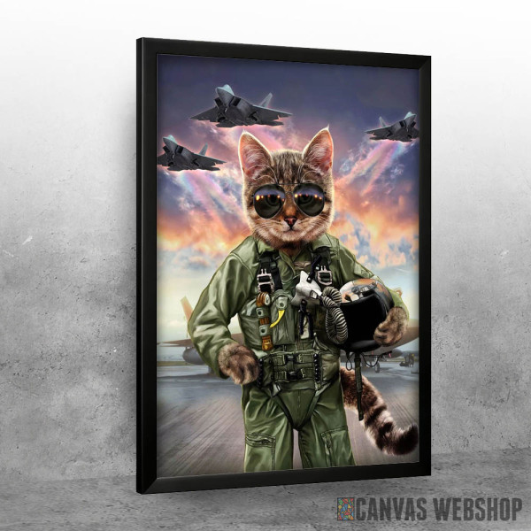 Cat the Air Force Pilot
