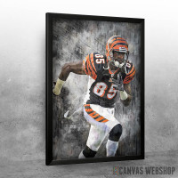 Chad Johnson Cincinnati Chad Johnson Cincinnati