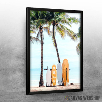 Choose Your Surfboard