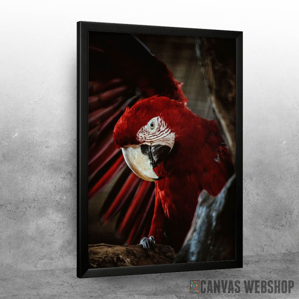 Crveni papagaj na drvetu Crveni papagaj na drvetu