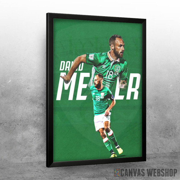 David Meyler Poster David Meyler Poster