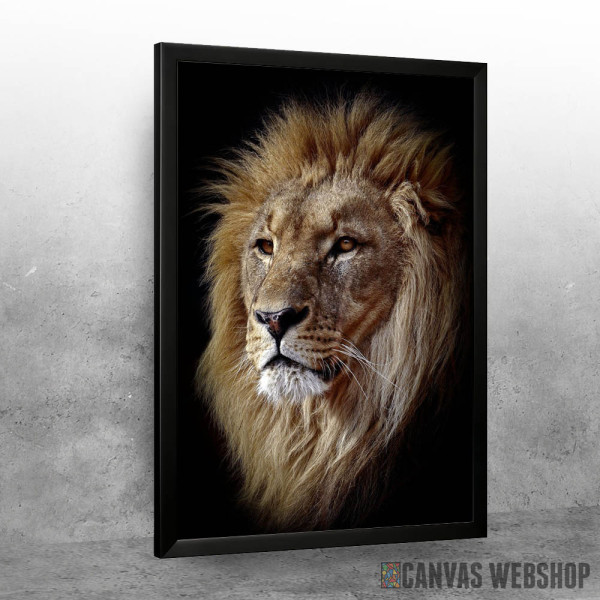 East African lion head East African lion head