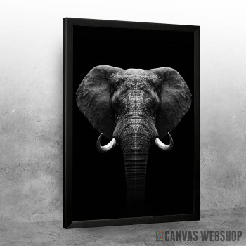 Elephant head art Elephant head art