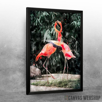 Flamingos