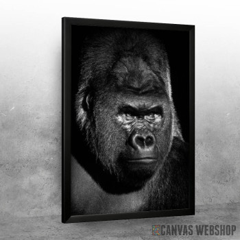 Gorilla black face