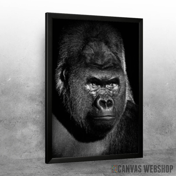 Gorilla black face