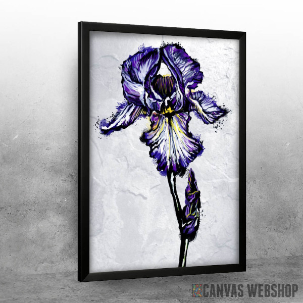 Iris Iris