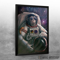 Istraživač svemira