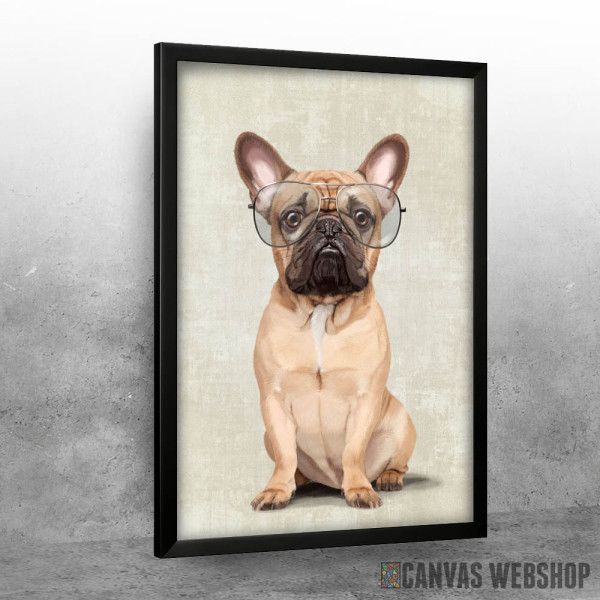 Mr French Bulldog