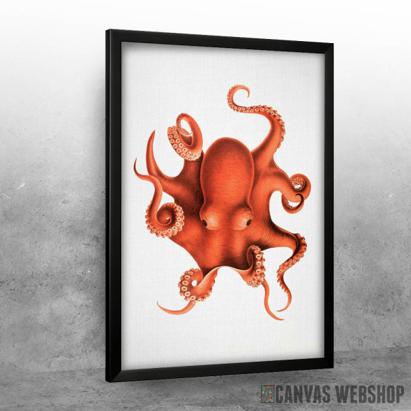 Octopus Watercolor Octopus Watercolor
