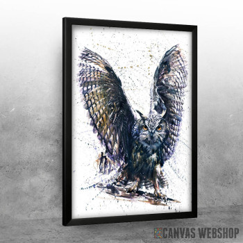 Owl watercolor Owl watercolor