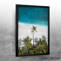 Palm Beach Sea Skyview