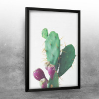 Plodovi kaktusa