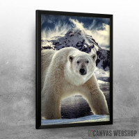 Polar Bear Polar Bear