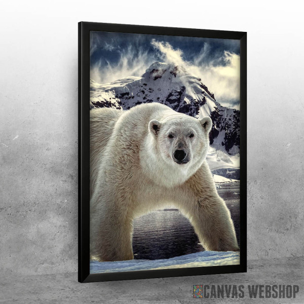 Polar Bear Polar Bear