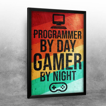 Programmer and Gamer