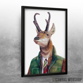 Pronghorn Deer