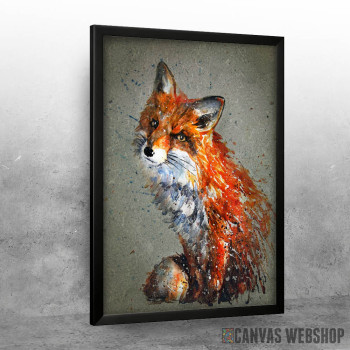 Red fox Red fox