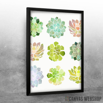 Spring Succulents