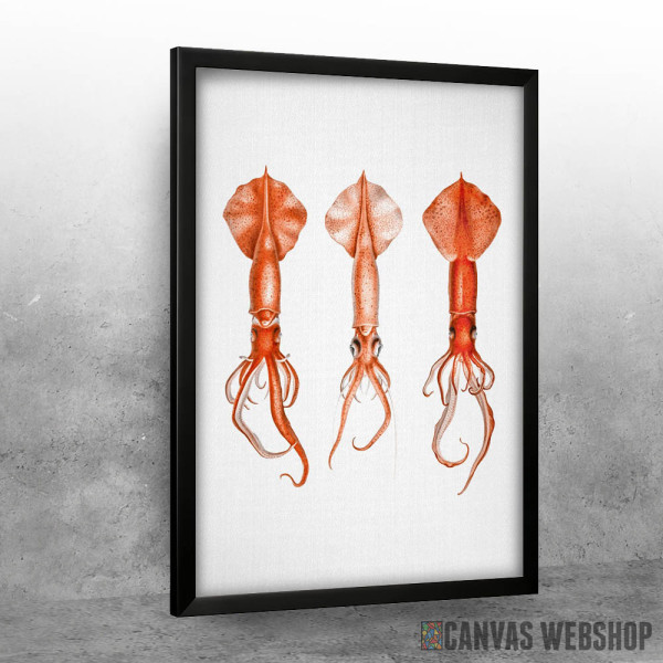 Squids Watercolor Squids Watercolor