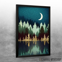 Star Forest Reflection