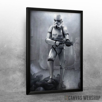 Stormtrooper art