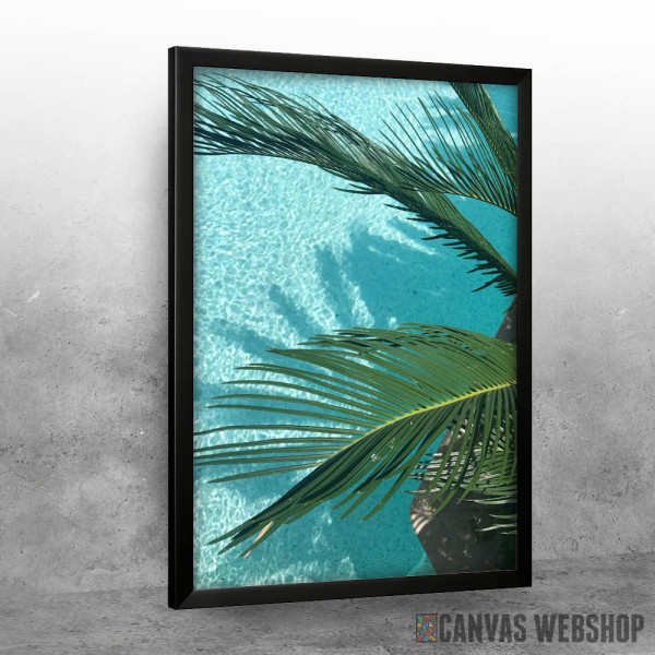 Summer Palm