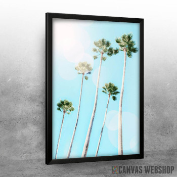 Summer Palms Summer Palms