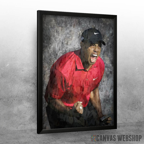 Tiger Woods Championship