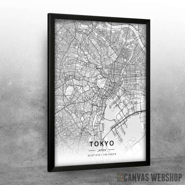 Tokio mapa - white