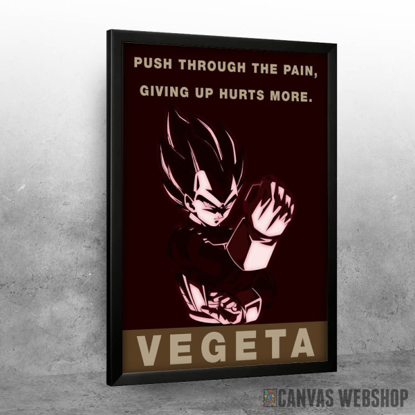Vegeta Dragon Ball Z Vegeta Dragon Ball Z