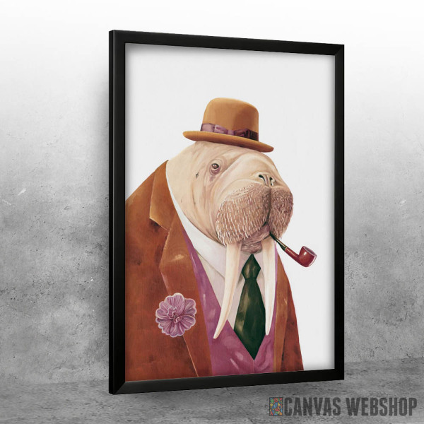 Walrus Walrus