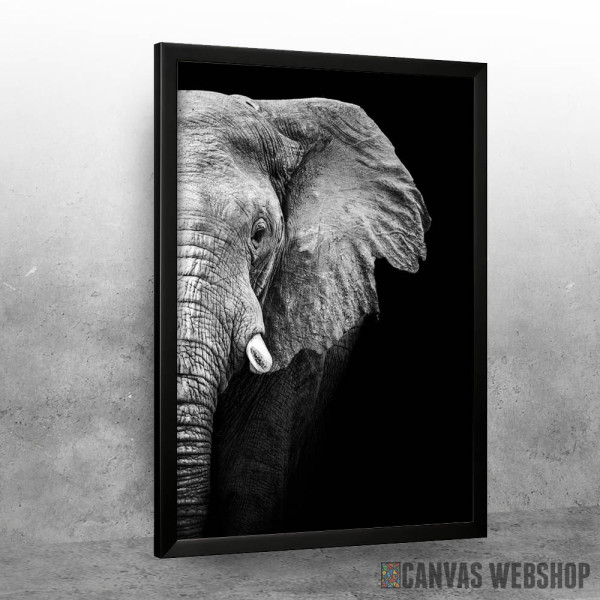 Wild Elephant head Wild Elephant head
