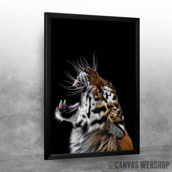 angry wild tiger angry wild tiger