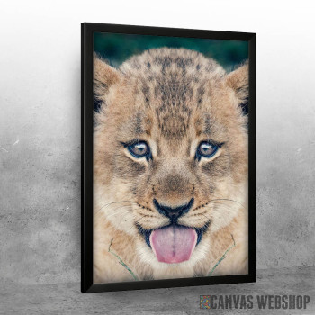 baby lion baby lion