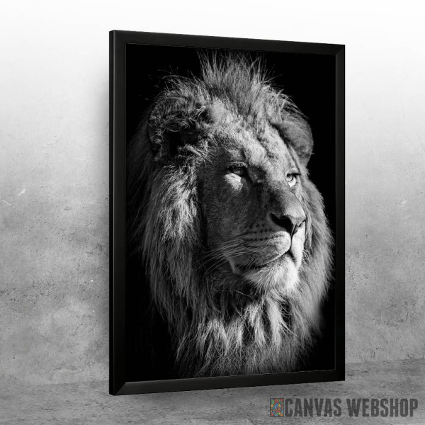 black lion king