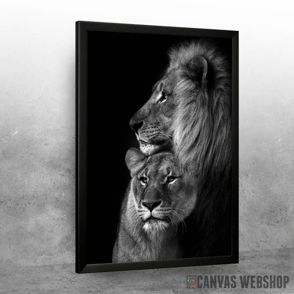 lions Love black and white 2 lions Love black and white 2