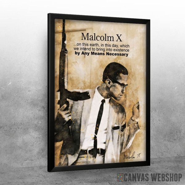 malcolm X quote 2