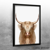 white wild Buffalo