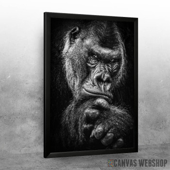 wild gorilla wild gorilla