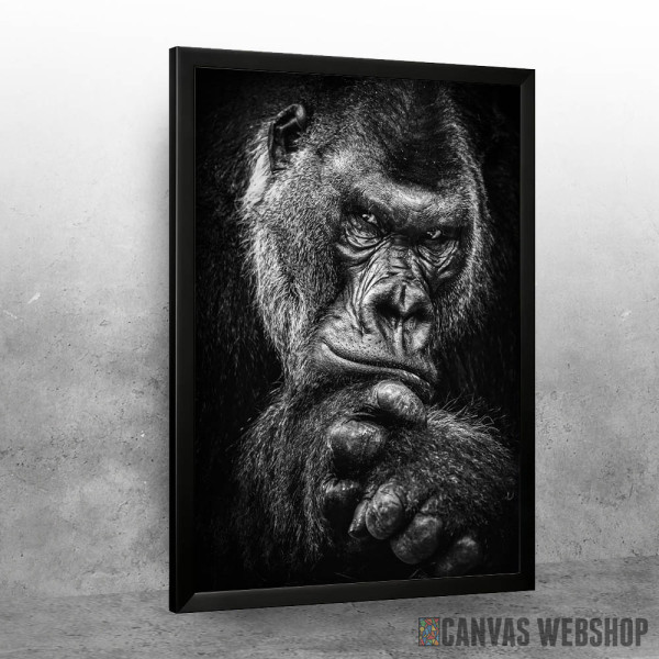 wild gorilla wild gorilla