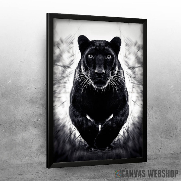 wild jumping black panther wild jumping black panther