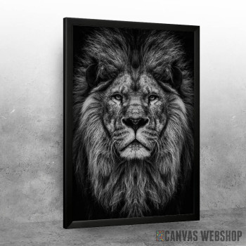wild lion head wild lion head