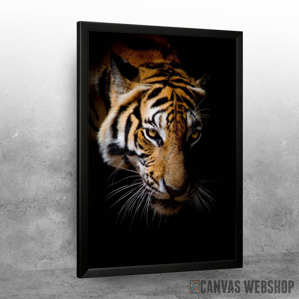 wild tiger face wild tiger face