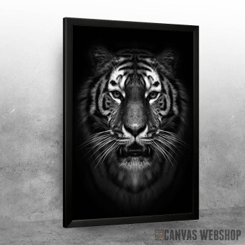 wild tiger head