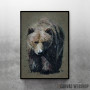 Bear background