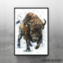 Buffalo watercolor Buffalo watercolor