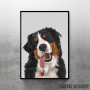 Dogo